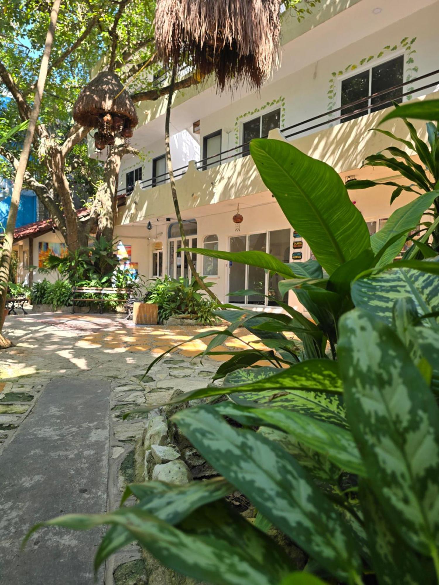 Hotel Ha Garden Gallery - 5Th Avenue Playa del Carmen Buitenkant foto