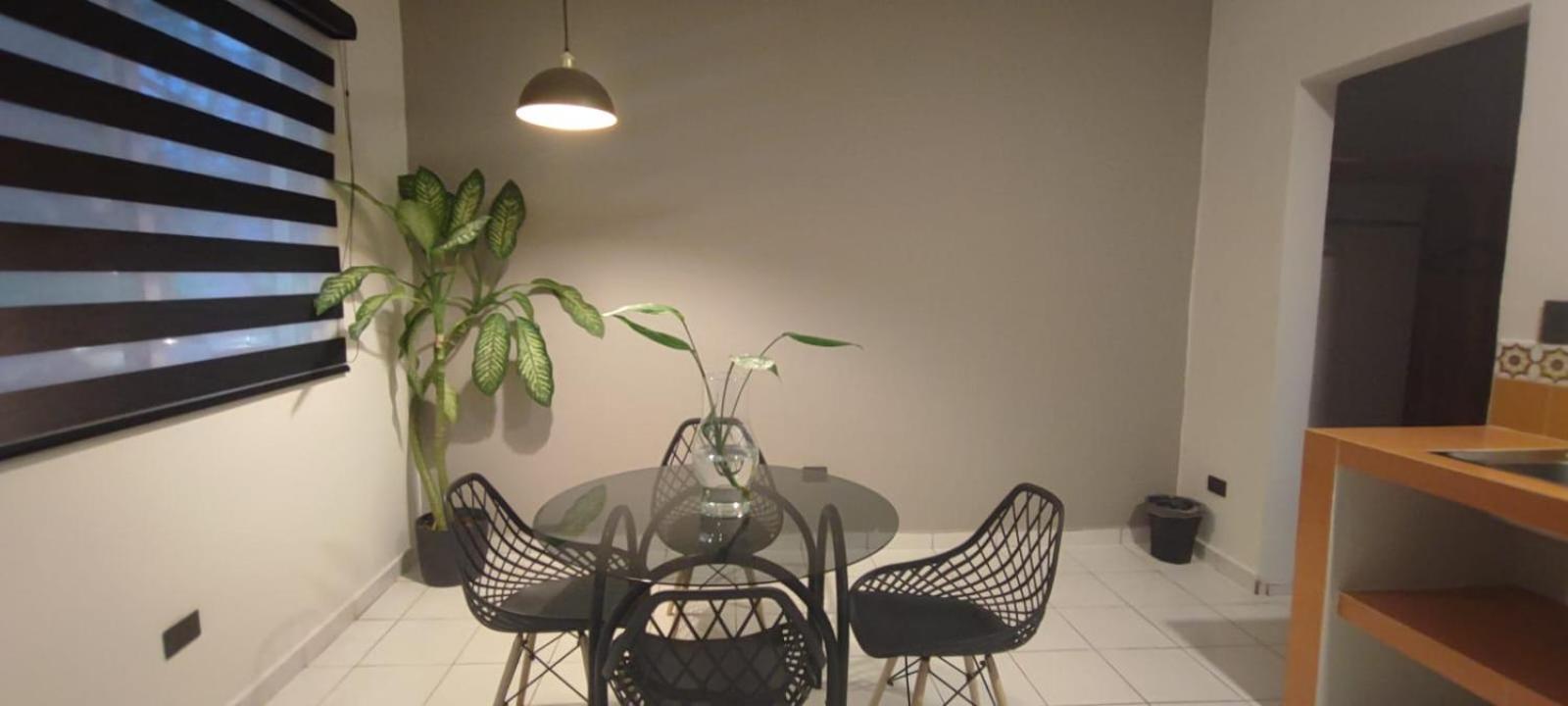 Hotel Ha Garden Gallery - 5Th Avenue Playa del Carmen Buitenkant foto