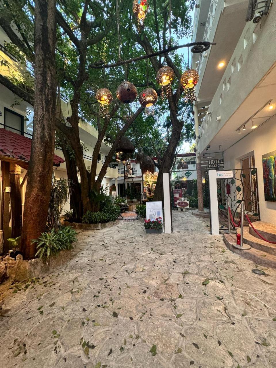 Hotel Ha Garden Gallery - 5Th Avenue Playa del Carmen Buitenkant foto